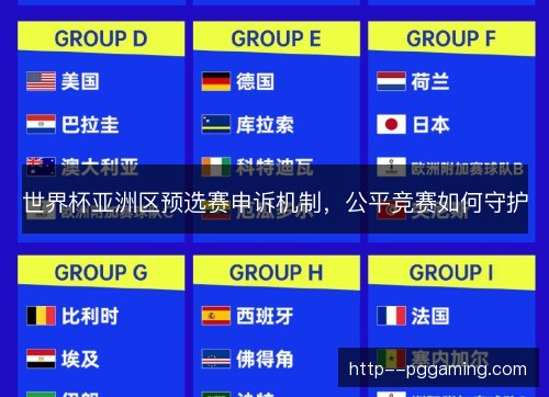 世界杯亚洲区预选赛申诉机制，公平竞赛如何守护